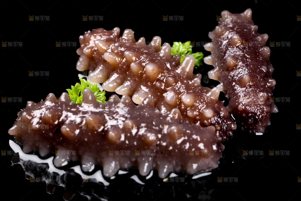 黑底上的刺参