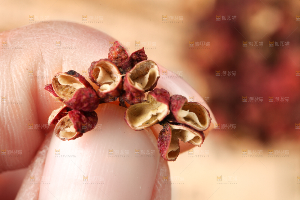 手里拿着花椒粒