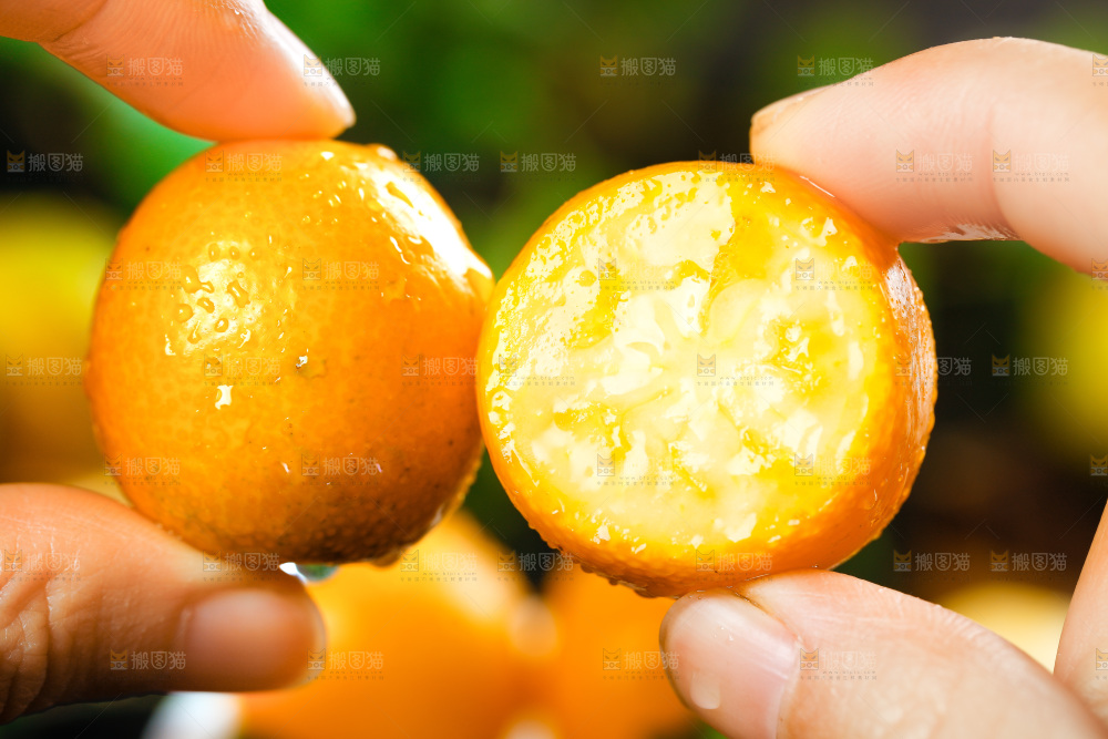 手里拿着小金桔