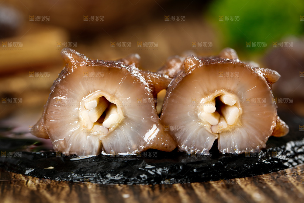 黑石板上的海参