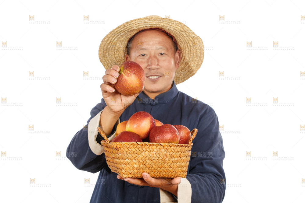 农民手里端着一篮丑苹果