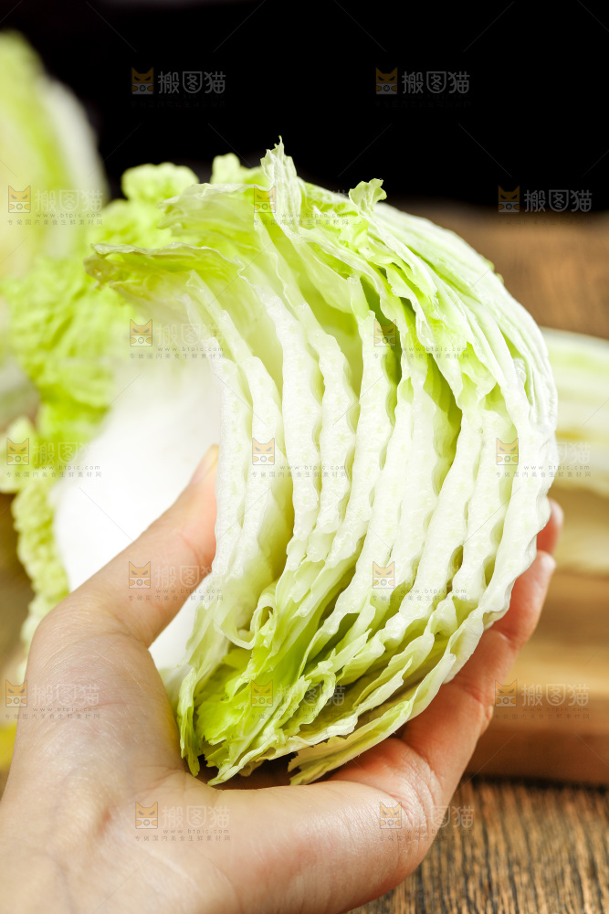 手拿切开的大白菜
