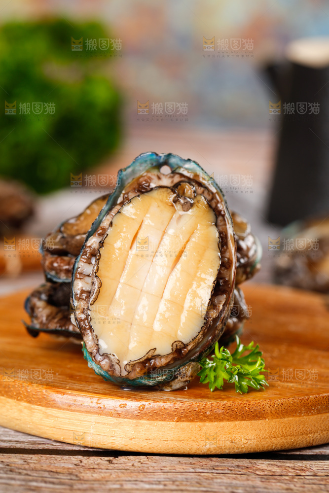 木底上的鲍鱼