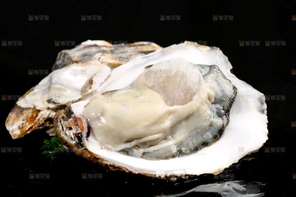 黑底上剥皮的牡蛎
