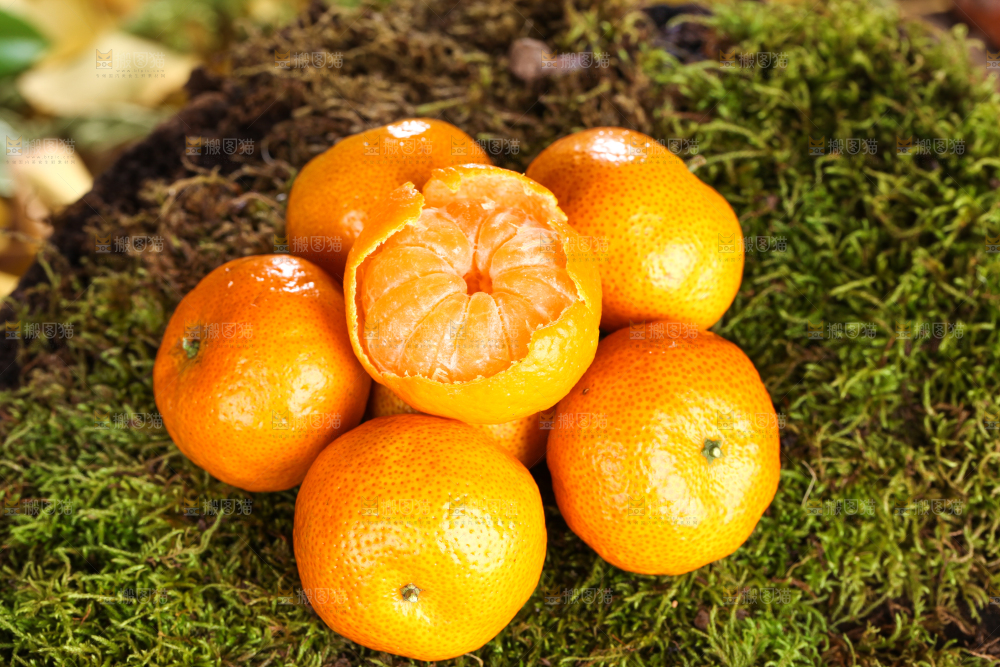 草地上放着包皮的砂糖橘
