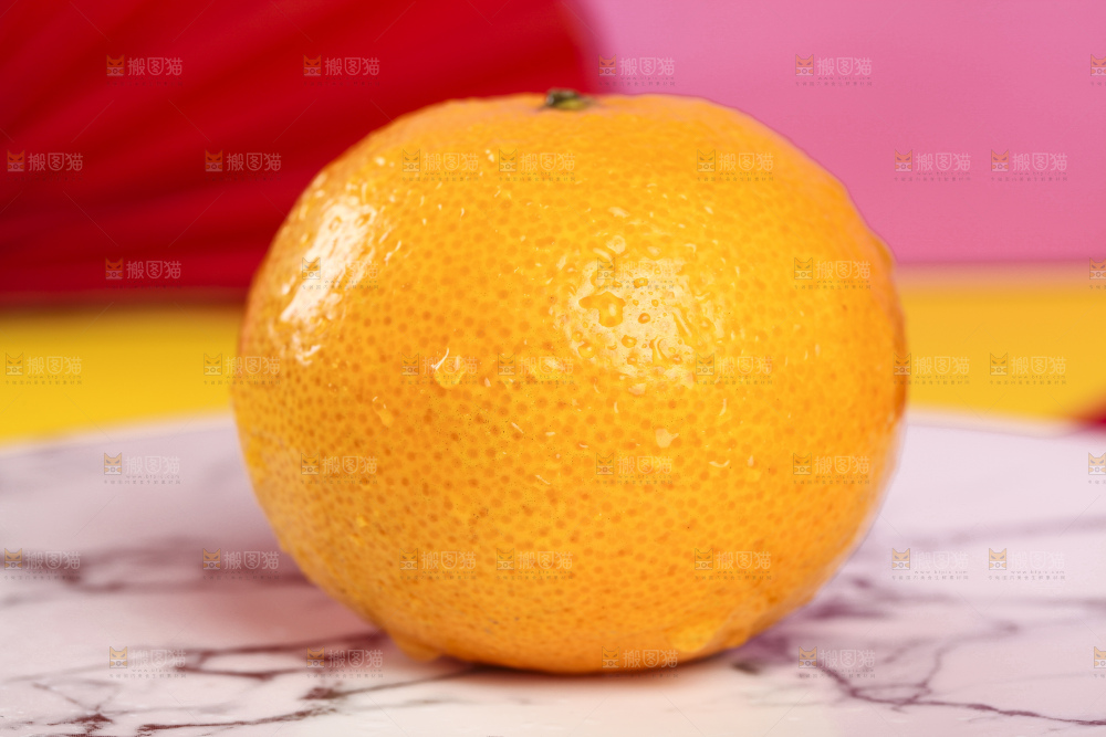 石板上的广西皇帝柑