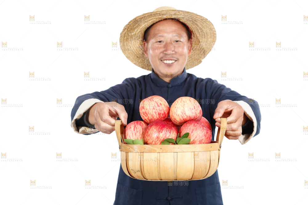 农民手里端着一篮苹果