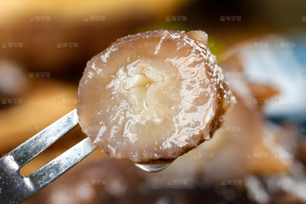 叉子叉着海参