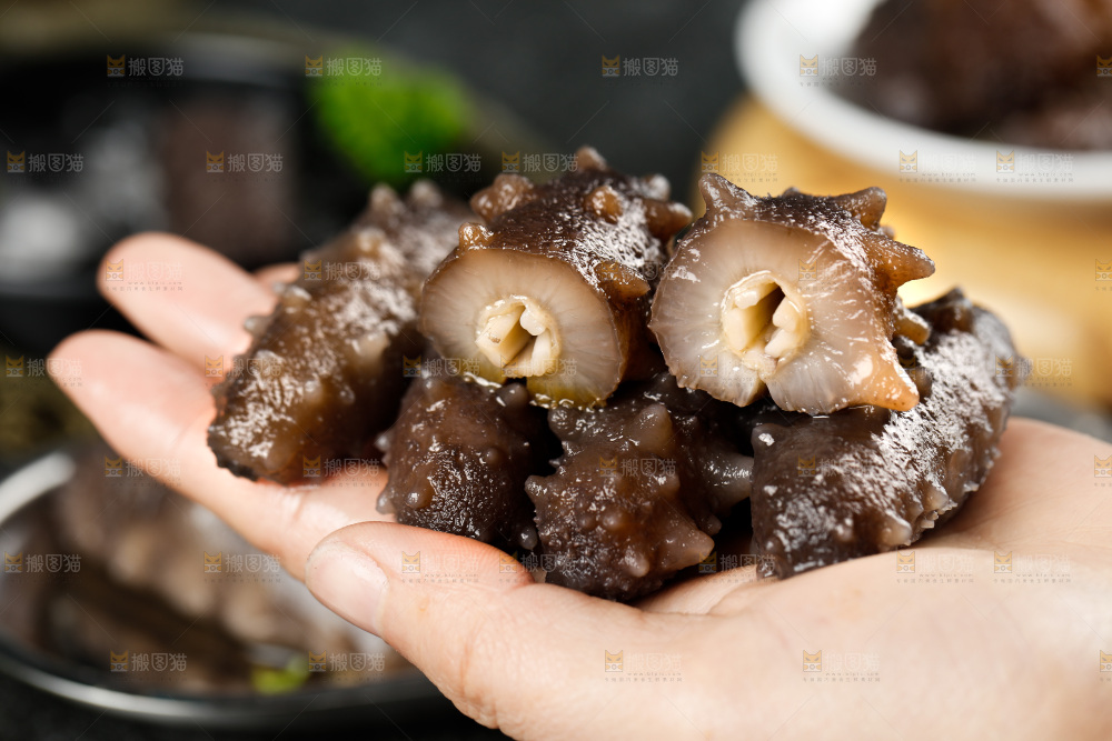 手拿海参