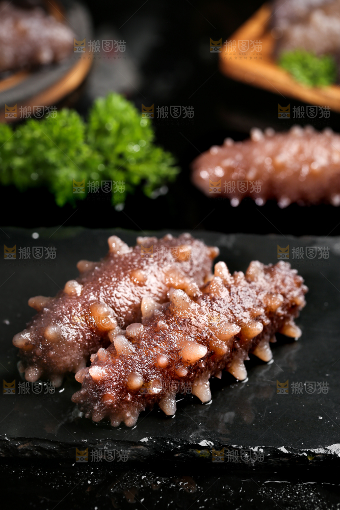 黑石板上的海参