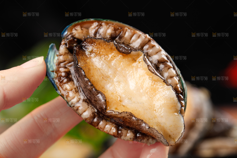 深底上放着一盘鲜鲍鱼