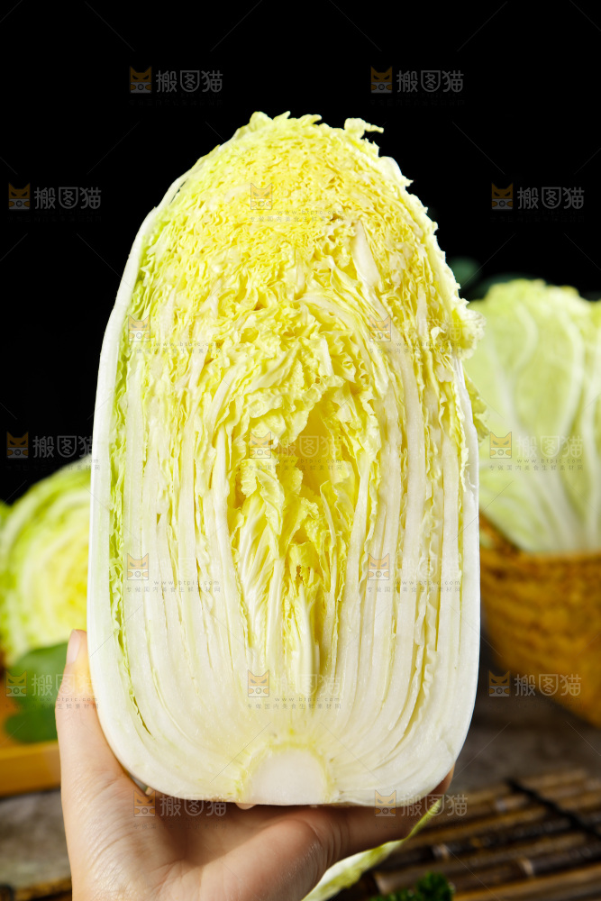 手拿切开的大白菜