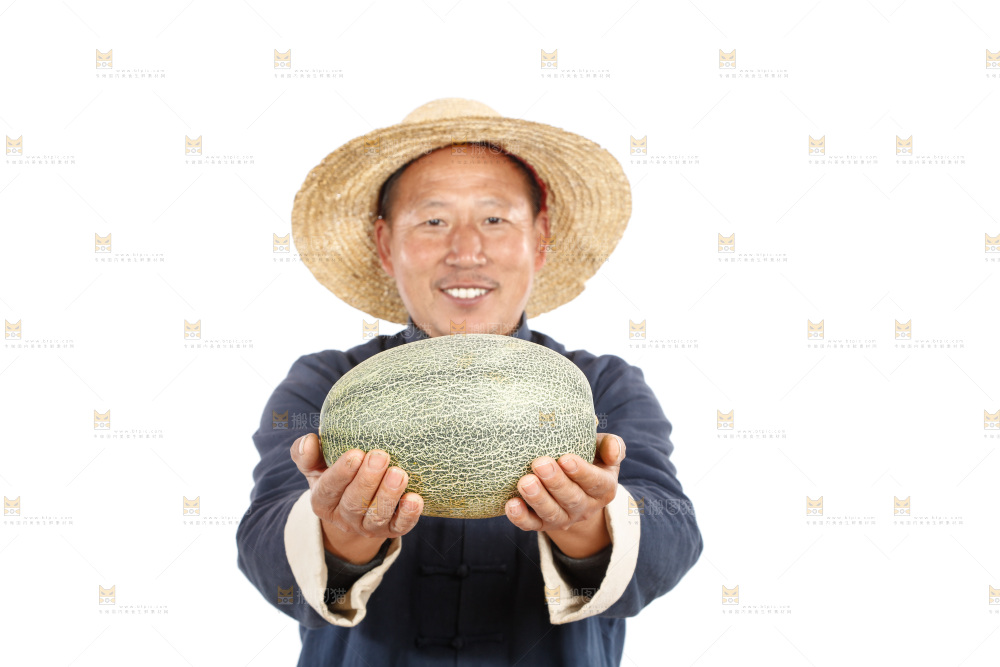 农民手里拿着哈蜜瓜