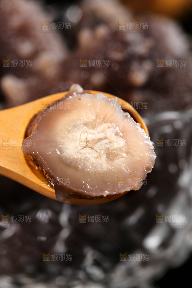 勺子里的海参