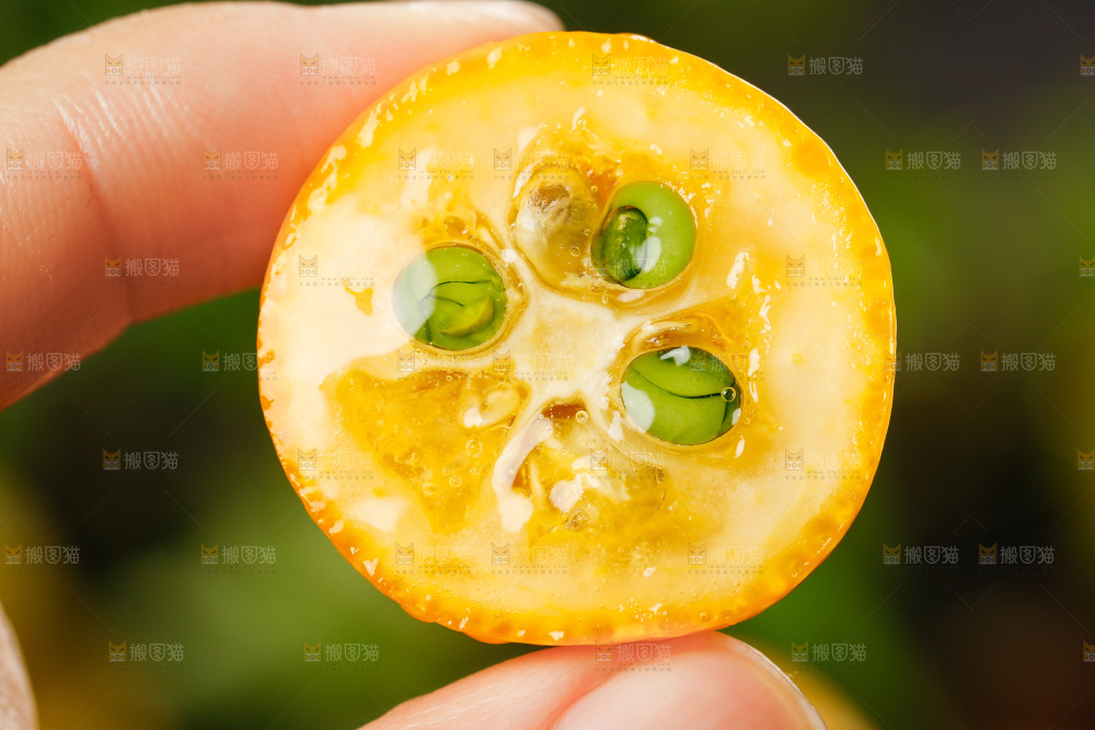 手里拿着小金桔