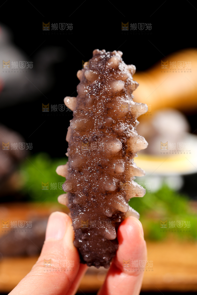手拿海参
