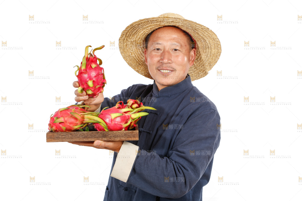 农民手里端着火龙果