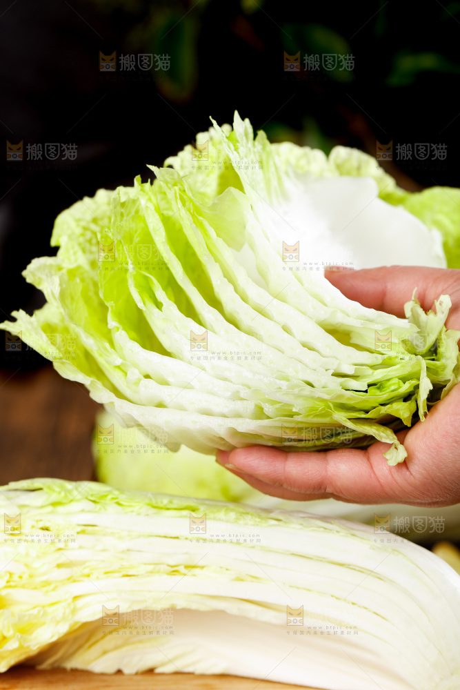 手拿切开的大白菜