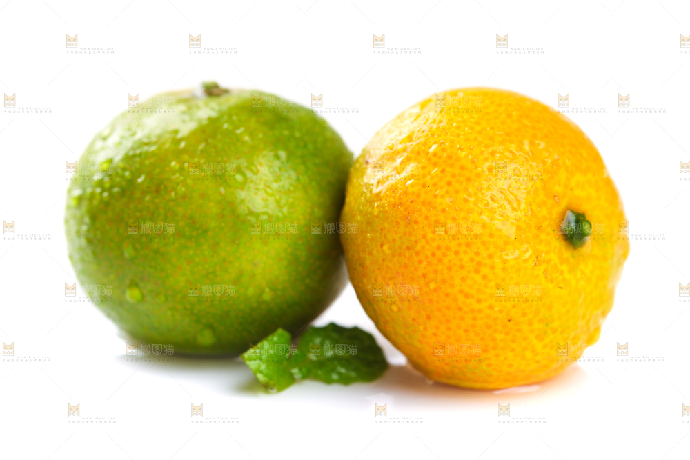 白底上的桂林清香蜜桔