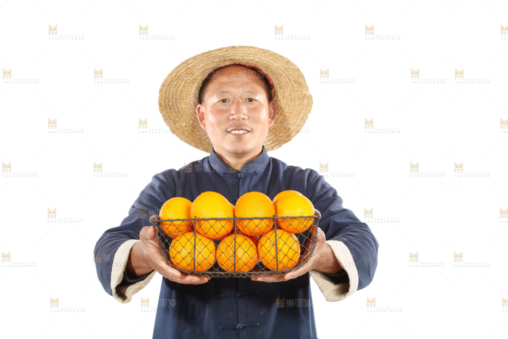 农民手里端着一篮橙子