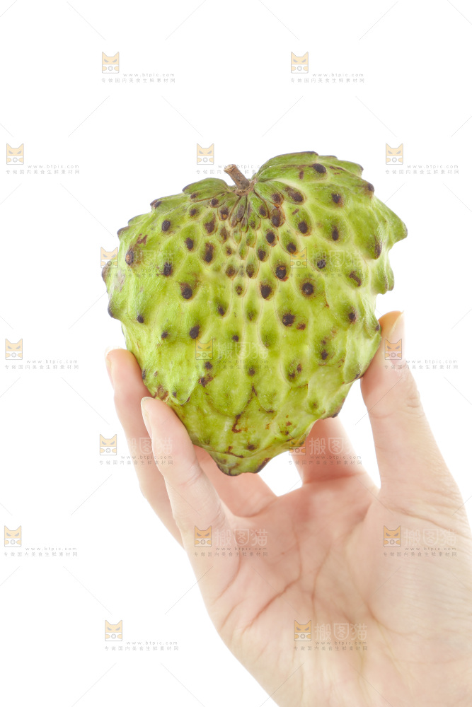 手里拿着释迦果