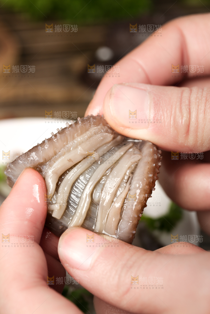 手拿海参