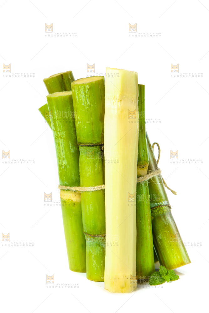 一捆青皮甘蔗放在白底