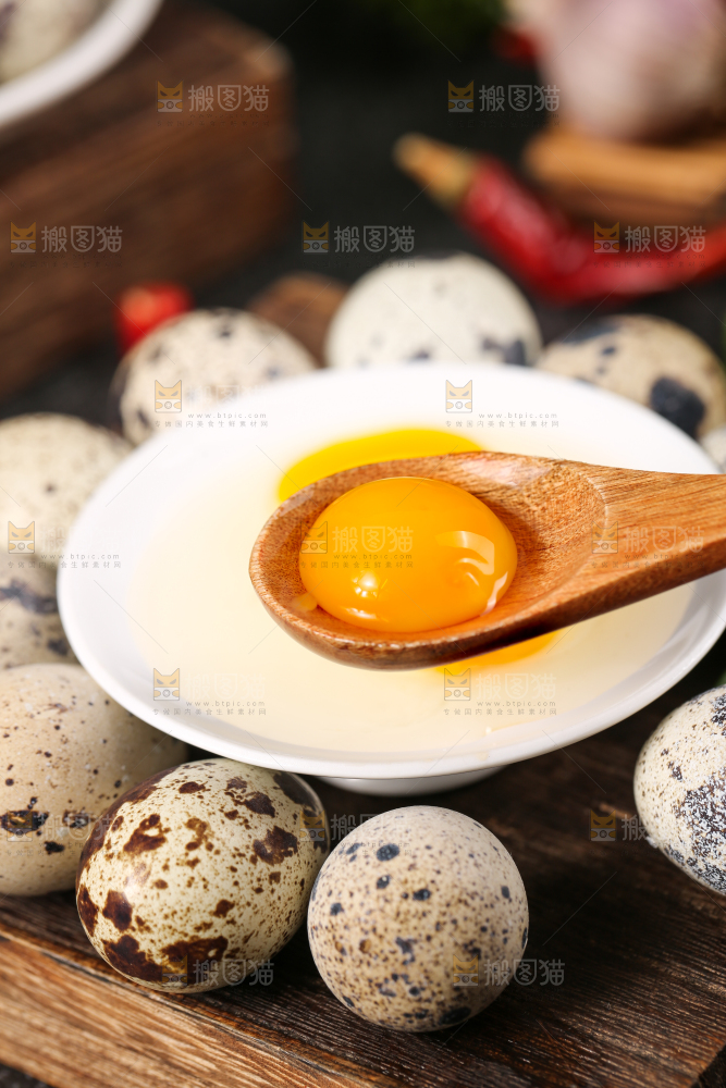 勺子里的新鲜鹌鹑蛋