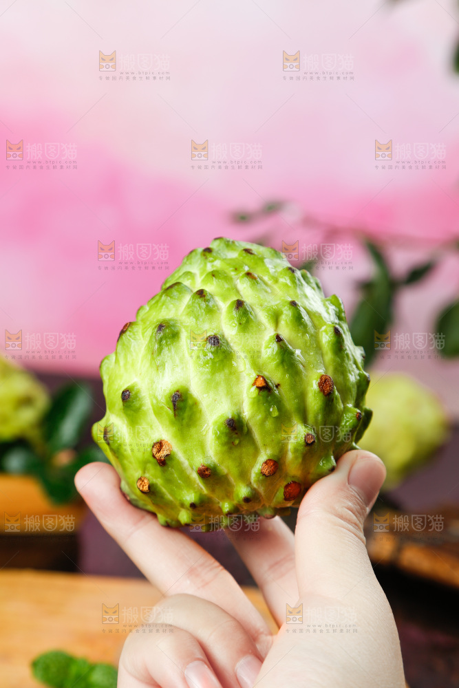 手里拿着牛奶释迦果