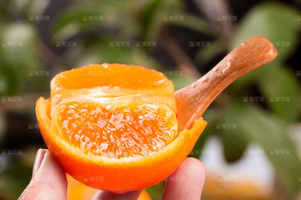 手拿沃柑