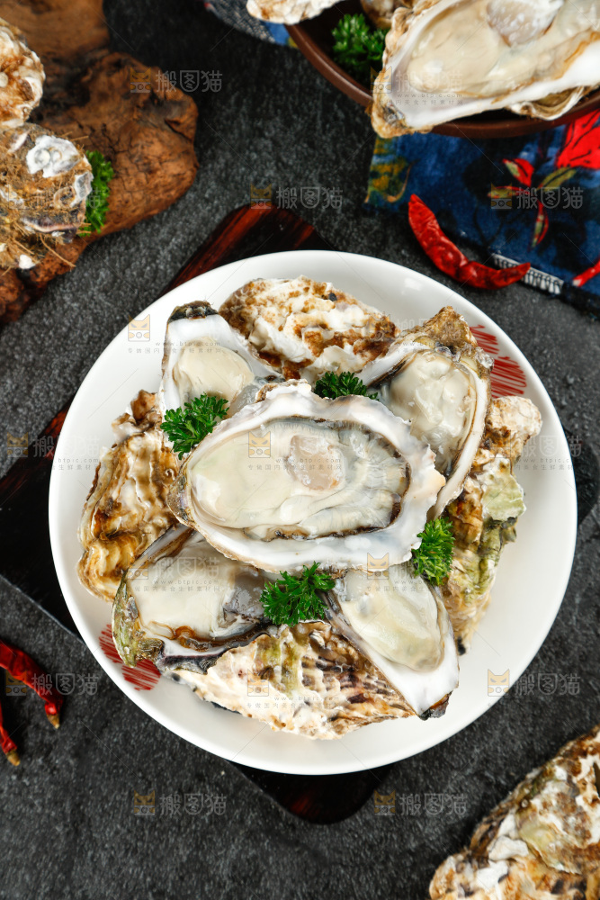 黑底上放着一海蛎子