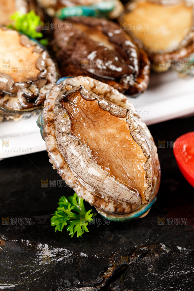 黑石板上的东山岛鲍鱼