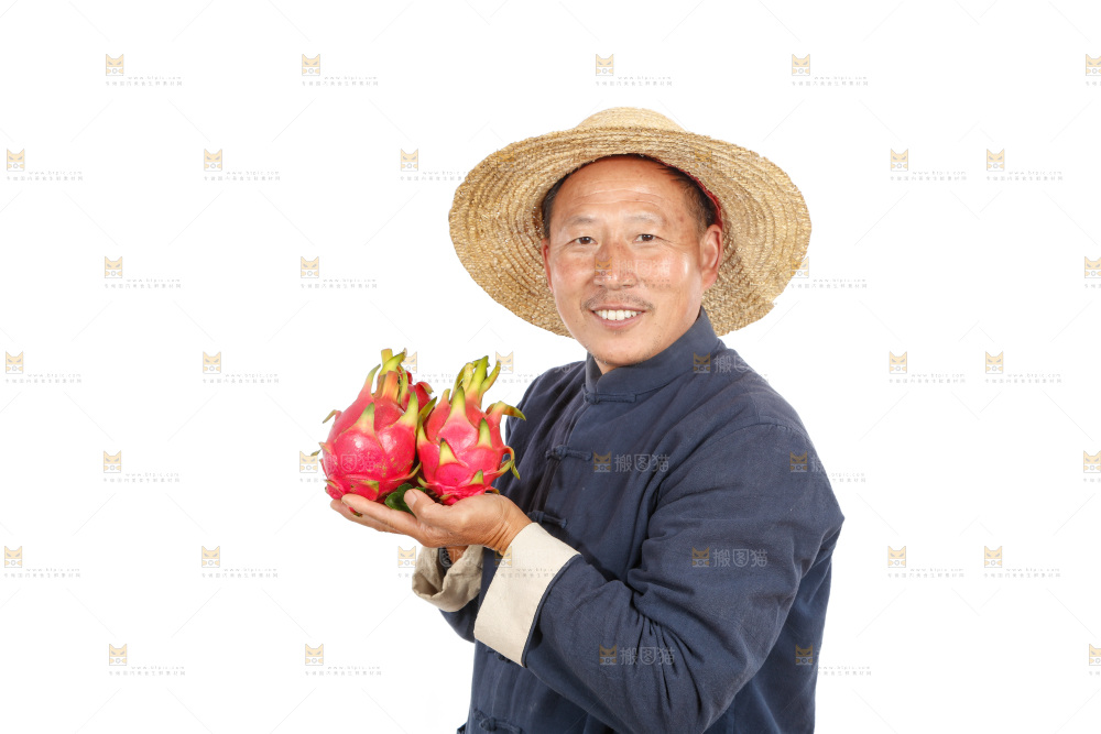 农民手里端着火龙果