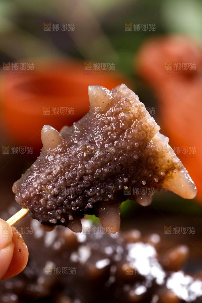 手拿海参