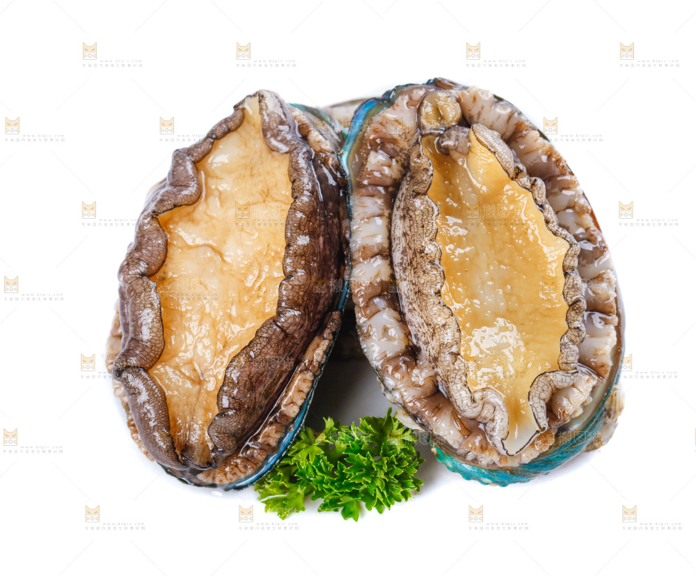 白底上的鲍鱼