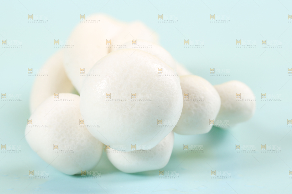 蓝底上的新鲜白玉菇