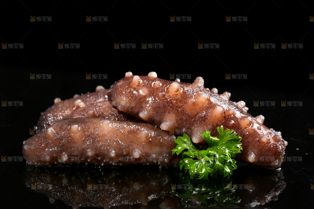 黑底上的海参