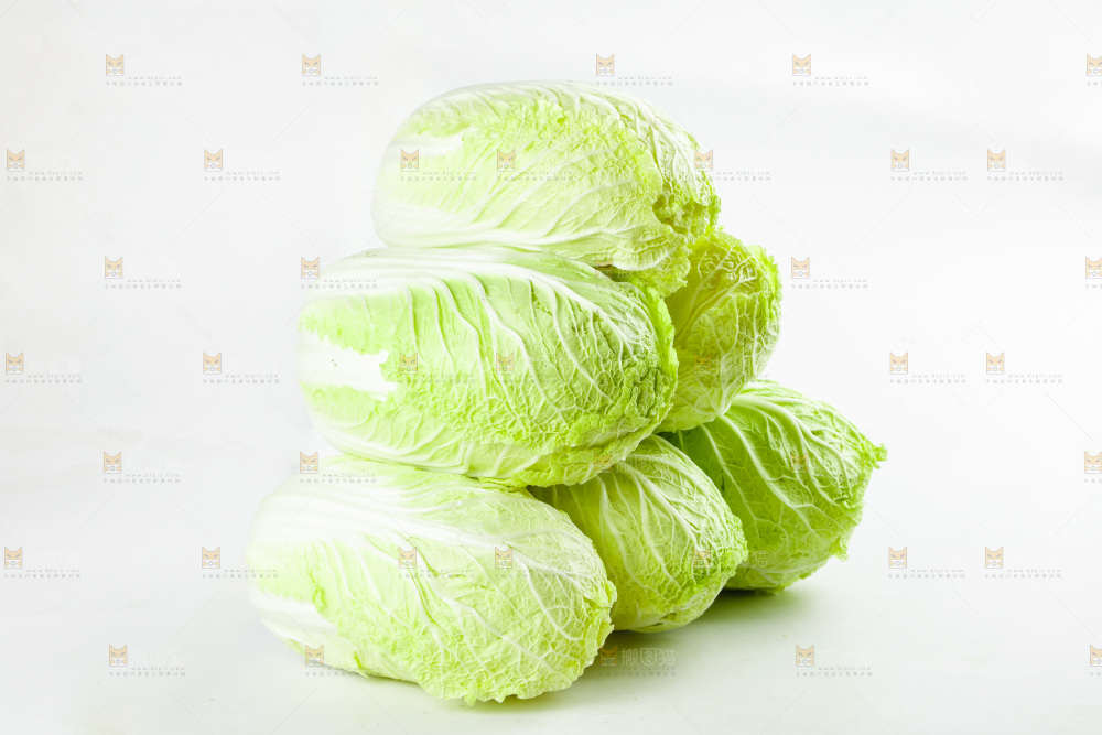 白底上的新鲜大白菜
