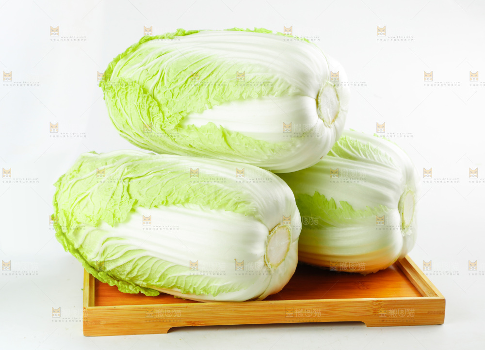 一盘大白菜放在白底上