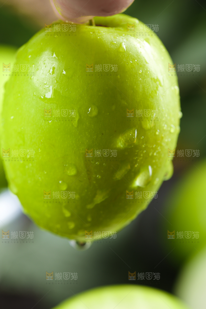 手拿牛奶大青枣