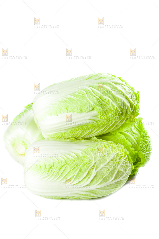 白底上的新鲜大白菜