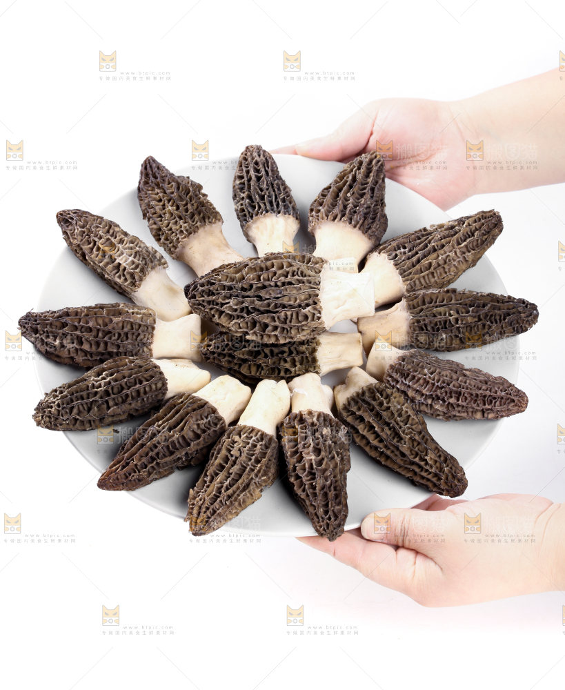 盘子装着羊肚菇
