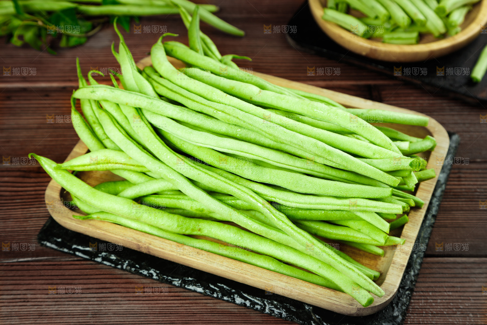 四季豆