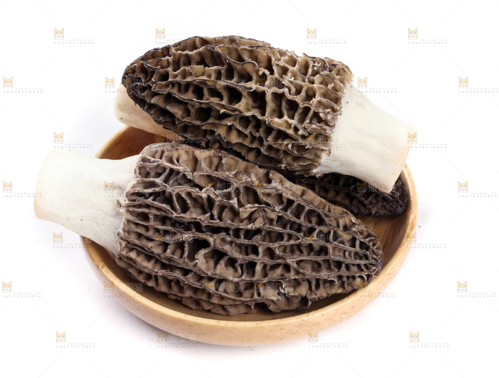 盘子装着羊肚菇