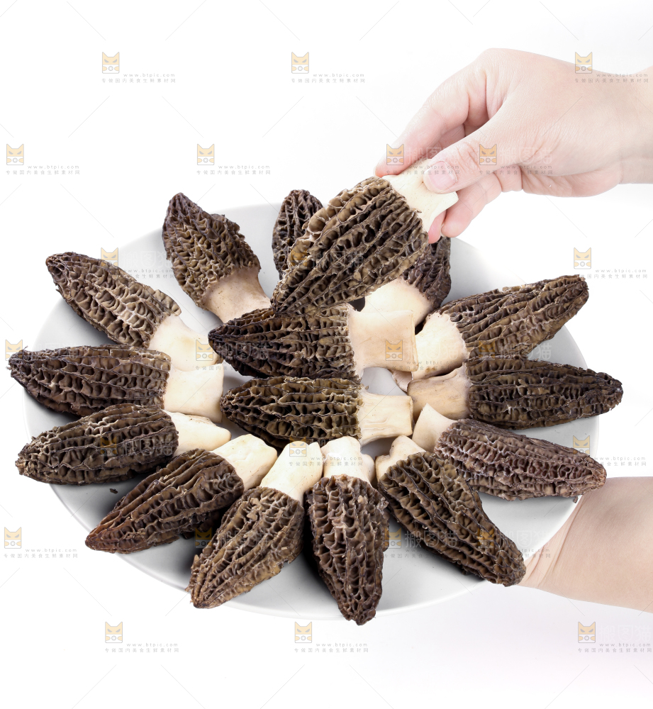 盘子装着羊肚菇