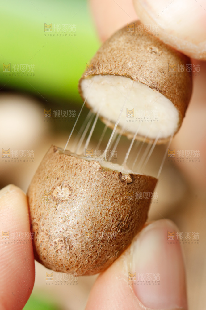 手里拿着山药豆