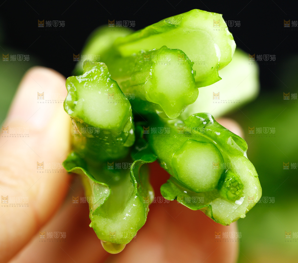 手里拿着广东菜心