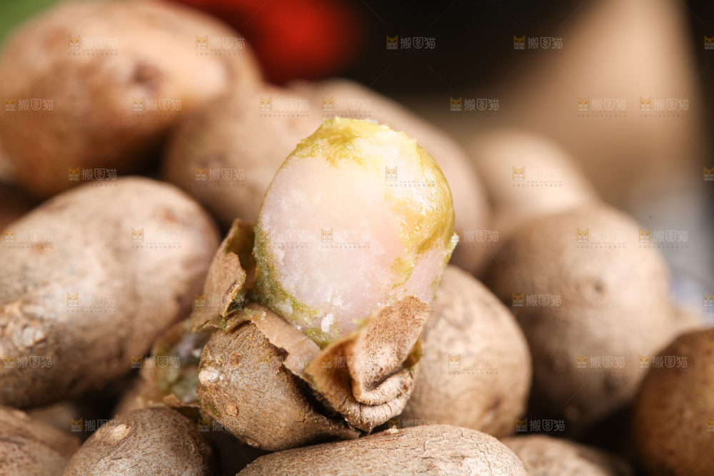 碗里放着小山药