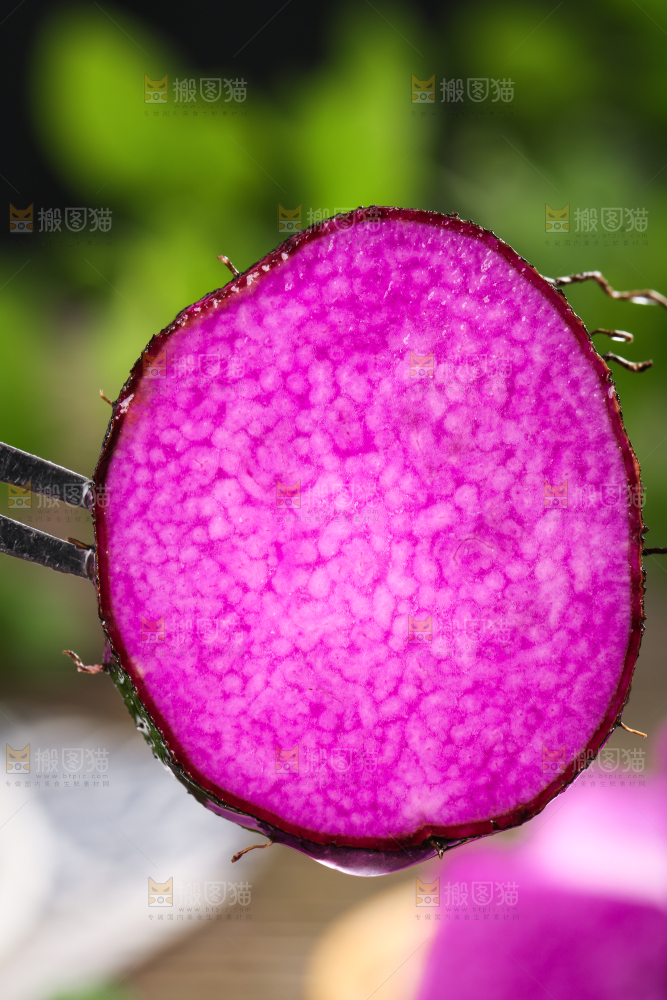 叉子叉着紫人参