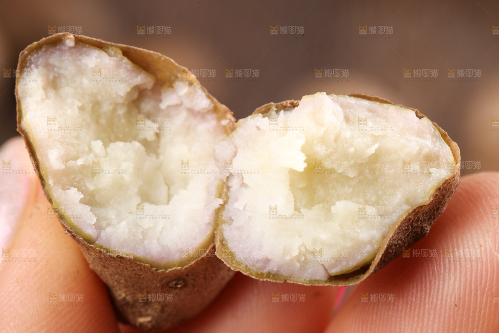 手里捧着山药籽